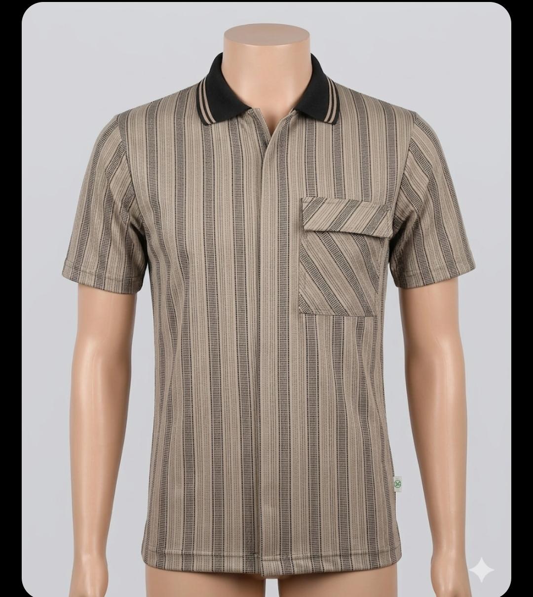 Short Sleeve Stripped Shirt